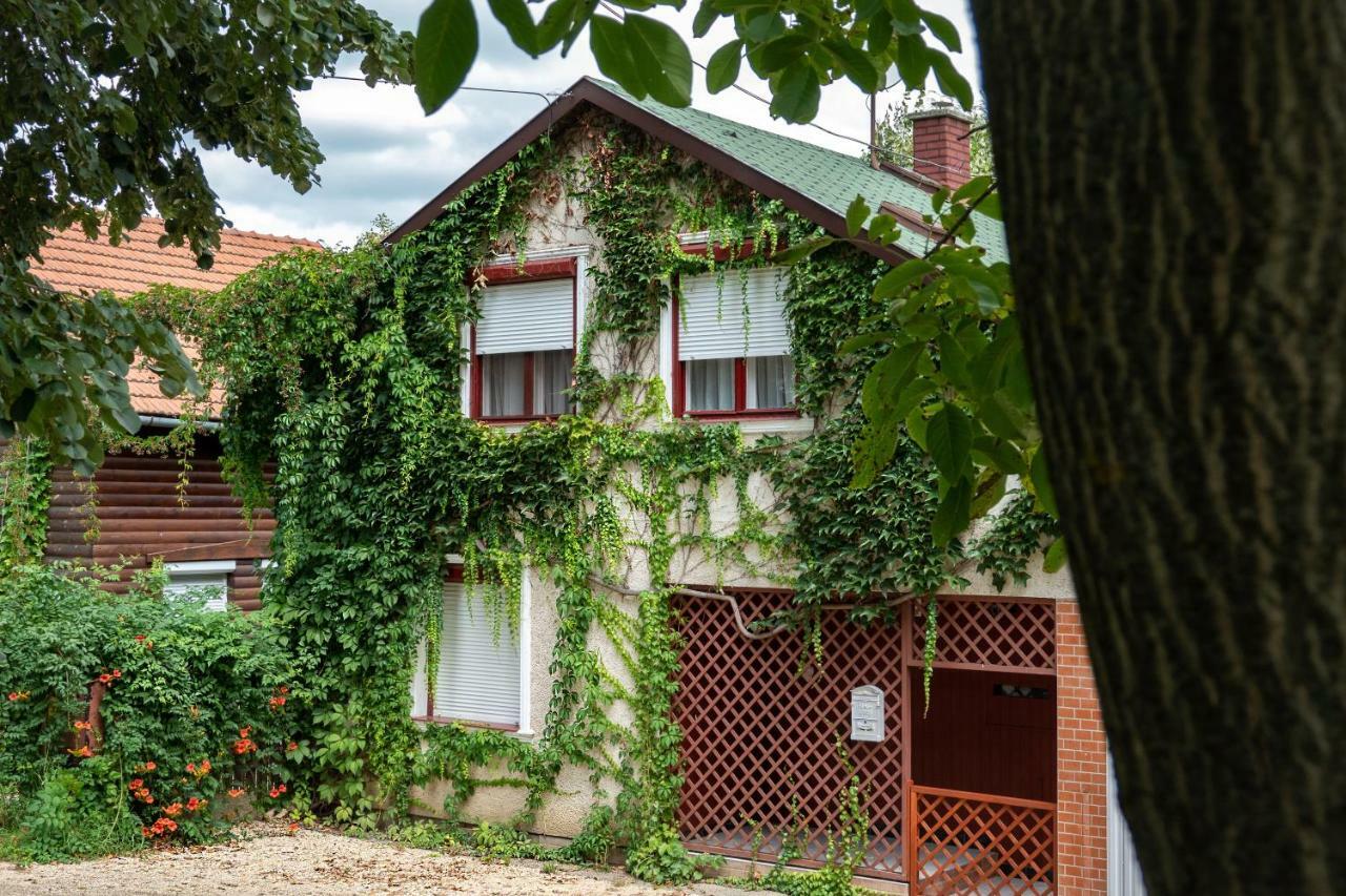 Vadszőlő Apartmanház Gyomaendrőd Exterior foto